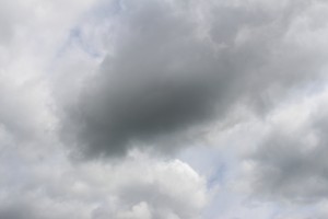 IMG_2646