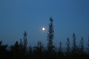 IMG_2658