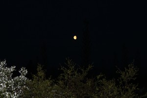 IMG_2666