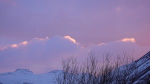 P1020312