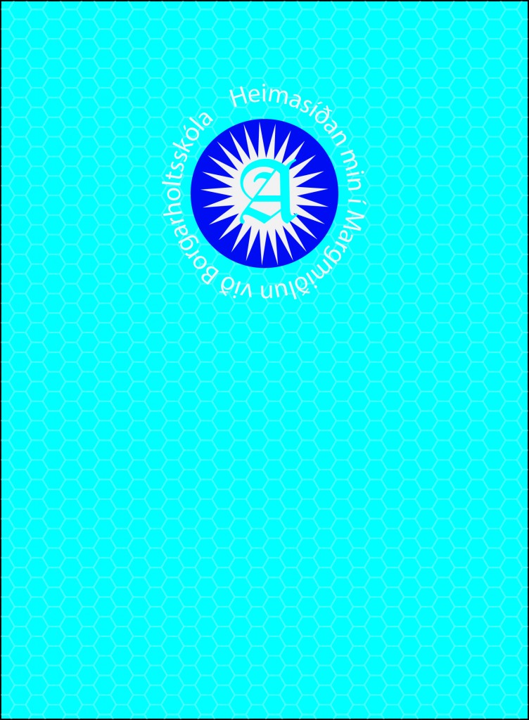 verkefni 6